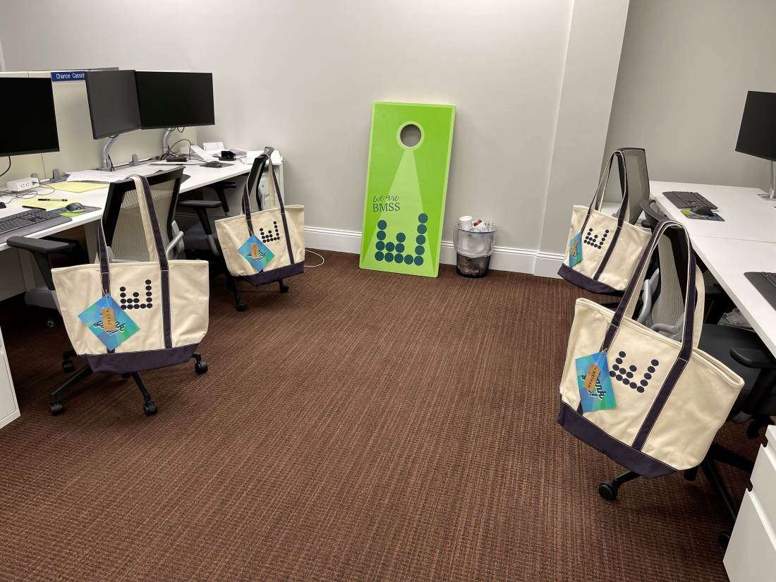 BMSS Culture – What Is It Like to Be an Accountant at BMSS During ...